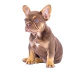 CHERRY X REVENGE - 6 - 1