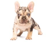 LILY X ROSCOE - 10 - 1