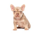 LILY X ROSCOE - 11 - 1