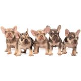 LILY X ROSCOE - 3 - 1