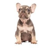 LILY X ROSCOE - 7 - 1