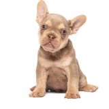 LILY X ROSCOE - 9 - 1